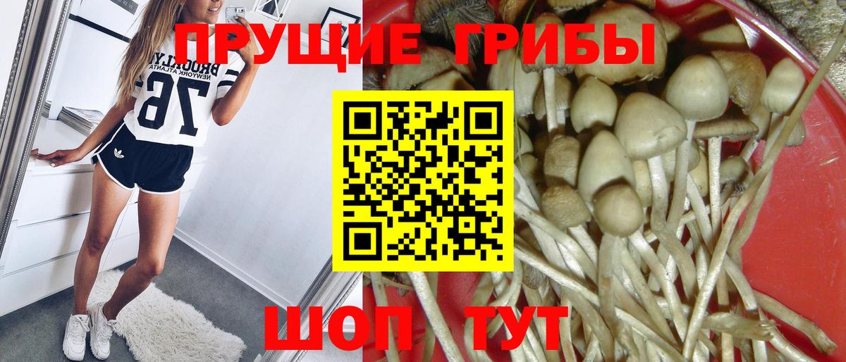 Псилоцибиновые грибы Magic Shrooms  Вход с VPN  Южно-Сахалинск 