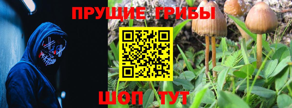 Псилоцибиновые грибы MAGIC MUSHROOMS Южно-Сахалинск